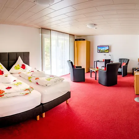 Hotel Hotelpension Schroeder Willingen (Upland)