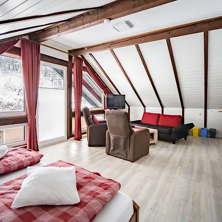 Hotelpension Schroeder Willingen (Upland)